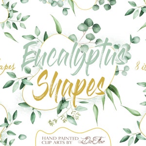 Aquarelle Eucalyptus Clipart Geometric Shapes Greenery Frames Clip Art Eucalyptus Baby Silver Dollar Leaf Green Leaves Illustration Vector