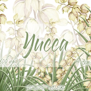 Watercolor Yucca Clipart Watercolor illustration Perennial Desert Prairie Sand Clip Art Decor Aloe Palm Yucca Clipart Wedding Invitation