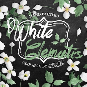 Fleur de clématite blanc Clipart Clip Art rustique aquarelle peinte à la main vert vignes grimpantes fleurs forêt Clipart mariage Invitation papier