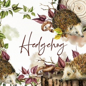 Aquarel egel Clipart herfst clip art bladeren illustratie egel bos uitnodiging illustratie hout plak herfst egel kunst