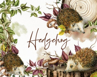 Aquarelle Hérisson Clipart Automne Automne Clip Art Feuilles Illustration Forêt de hérisson Invitation Illustration Tranche de bois Automne Hérisson Art