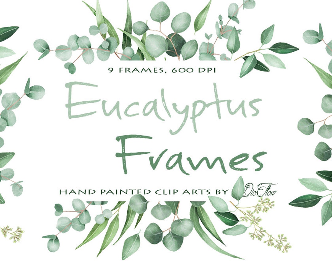 Watercolor Eucalyptus Clipart Frame Greenery Frames Clip Art Eucalyptus ...