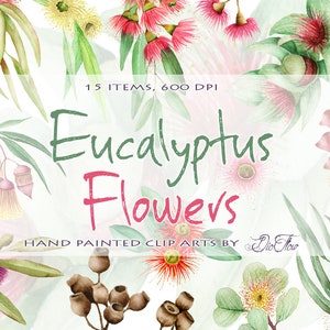 Watercolor Eucalyptus Flowers Clipart Colorful Clip Art Gum Nut Eucalyptus Flower Greenery Leaves Flowers Illustration Vector Invitation Art