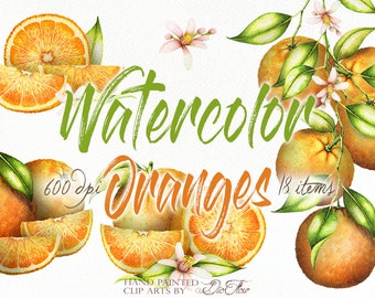 Orange Watercolor Clipart Fruit Oranges Citrus Decor Mediterranean Clip Art Citrus Fruits Invitation Wedding Illustration Decoration Orange