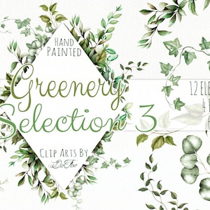 Watercolor Greenery Clipart Vines Foliage Leaves Clip Art Frames Ivy Vines Woodland Foliage Green Forest Wedding Invitation Illustration