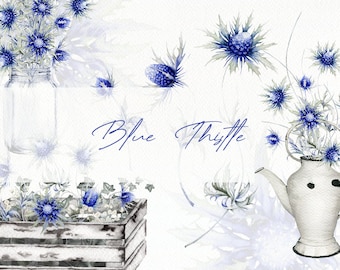 Watercolor Thistle Clipart Blue Eryngium Flower Clip Art Leaf Leaves Illustration Vector Wedding Invitation Rustic Country Wild Flowers