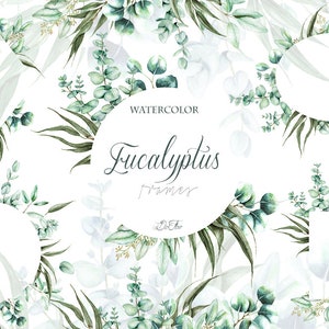 Eucalyptus aquarelle Clipart cadre verdure images Clip Art Eucalyptus verdure bébé Dollar en argent feuille feuilles vertes Illustration vectorielle