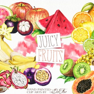 Aquarelle de fruits Clipart fruits exotiques Clip Art Illustration fruitée Decor cuisine mur décoration de la maison Fruits exotiques Melon Fruits du Sud