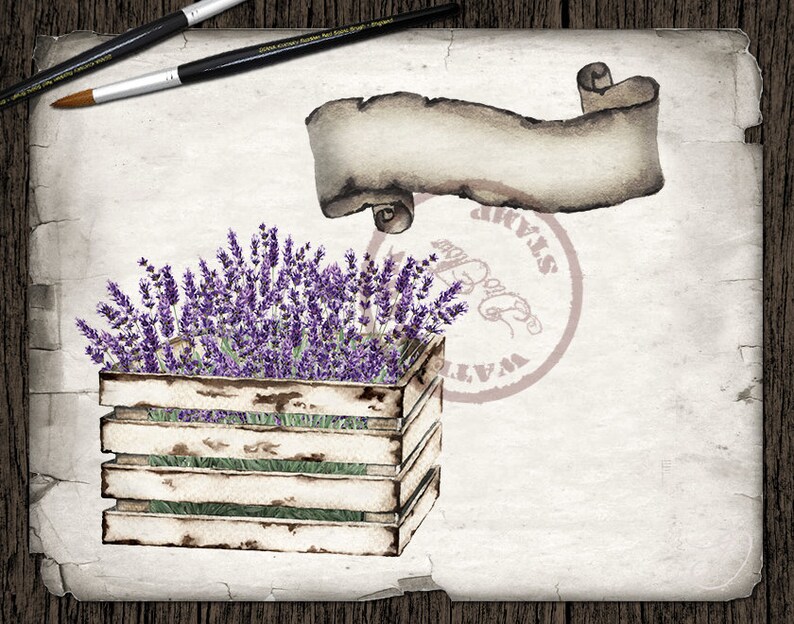 May include: A wooden crate filled with purple lavender flowers. The crate is on a white background with a brown scroll and a stamp that says "WATER STAINED".