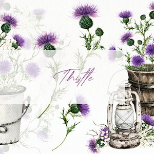 Aquarel distel clipart paarse distel bloem clip art blad bladeren illustratie vector bruiloft uitnodiging rustieke land wilde bloemen