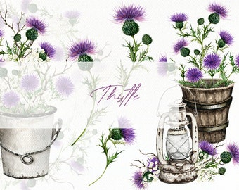 Watercolor Thistle Clipart Purple Thistle Flower Clip Art Leaf Leaves Illustration Vector Wedding Invitation Rustic Country Wild Flowers