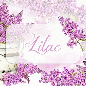 Akwarela Lilac Syringa Wiosna Fioletowe Kwiaty Clipart Clip Art Rustykalna Wiosna Zaproszenie Ślubne Ilustracja Wektor Fioletowy Kwiat Bukiet