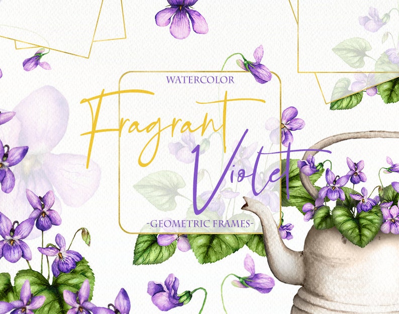 Watercolor Violet Spring Purple Viola Flowers Clipart Clip Art Rustic ...