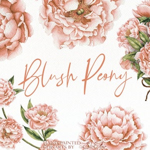 Aquarell Pfingstrose Clipart erröten Pfingstrosen Blume Pfirsich Clip Art Vintage Blumen Illustration Vektor Hochzeit Einladung Papier Pastell Blumen