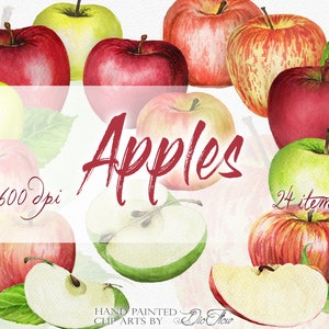 Watercolor Apples Clipart Apple Clip Art Fruits Illustration Decor Kitchen Decoration Wall Art Home Cookbook Clips Garden Jam Drink Labels