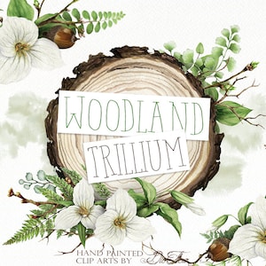 Clipart Trille de verdure aquarelle feuilles Branches Clip Art bois de tranche de bois cadres Illustration Faire-part de mariage forêt verte