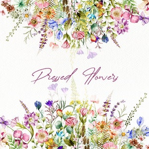 Aquarelle Fleurs Pressées Clip Art Fleur Feuille Feuilles Pressées Fleurs Séchées Clip Illustration Vecteur Invitation De Mariage Fleurs Sauvages Rustiques