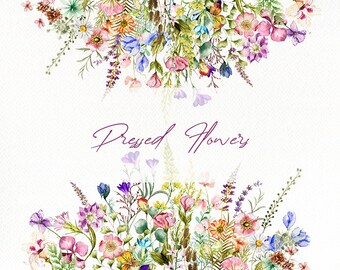 Watercolor Pressed Flowers Clip Art Flower Leaf Pressed Leaves Dried Flowers Clip Illustration Vector Wedding Invitation Rustic Wild Flowers