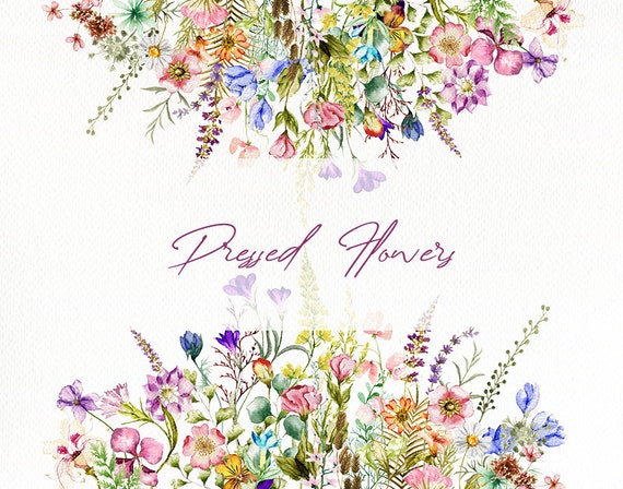 Set of Spring Dry Pressed Flower Clipart