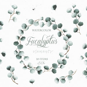 Puede incluir: Elementos de eucalipto acuarela, un conjunto de 10 ilustraciones de acuarela de hojas de eucalipto en tonos verdes. Las hojas están dispuestas en un patrón circular, con el texto "WATERCOLOR Eucalyptus elements 10 ITEMS" en el centro.
