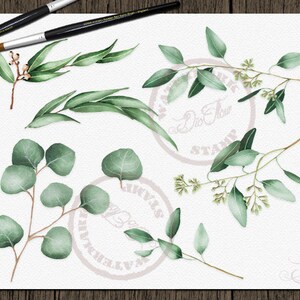 Watercolor Eucalyptus Clipart Greenery Clip Art Eucalyptus Greenery Baby Silver Dollar Leaf Green Leaves Illustration Vector Invitation Art image 4