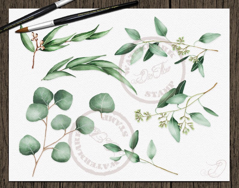 Watercolor Eucalyptus Clipart Greenery Clip Art Eucalyptus Greenery Baby Silver Dollar Leaf Green Leaves Illustration Vector Invitation Art image 4