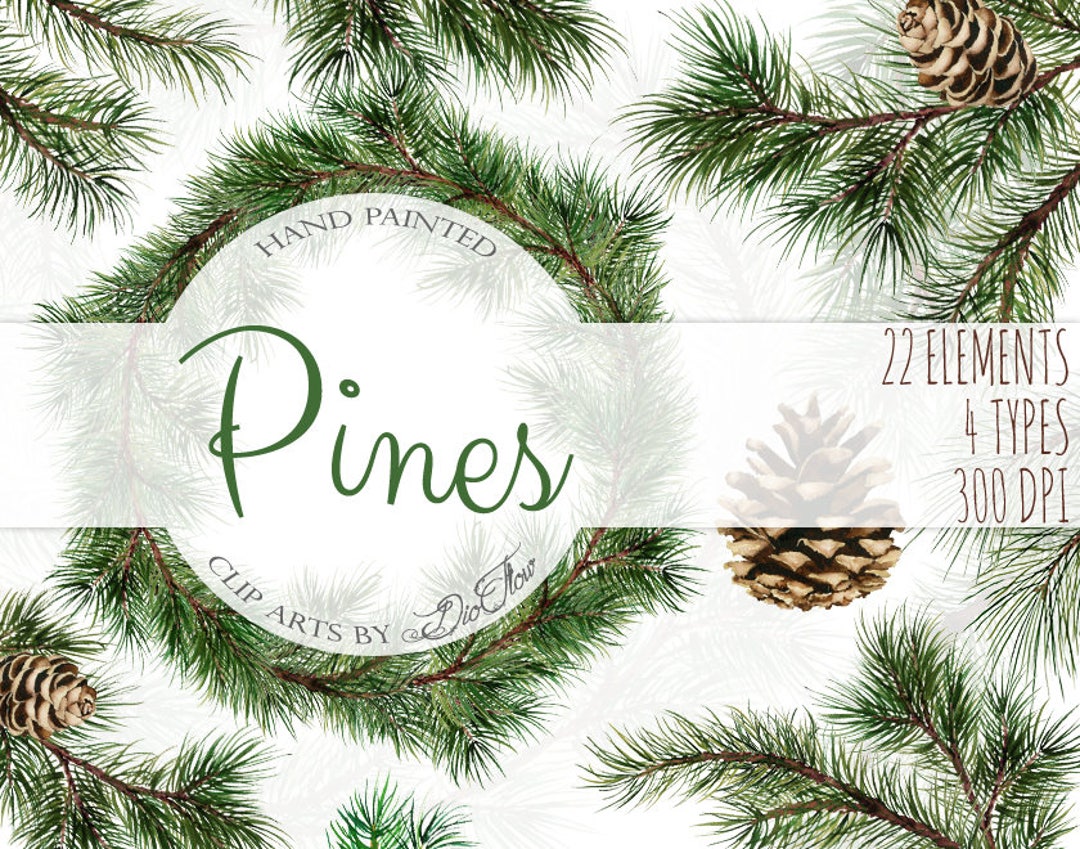 Watercolor Pine Clipart Winter Clip Art Christmas Branches Winter Pines ...