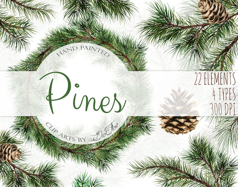 Watercolor Pine Clipart Winter Clip Art Christmas Branches Winter Pines Wedding Invitation Greenery White Xmas Leaves Evergreen Pine Cones image 1