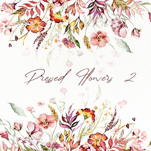 Aquarelle Fleurs Pressées Clip Art Fleur Feuille Feuilles Pressées Fleurs Séchées Clip Illustration Vecteur Invitation De Mariage Fleurs Sauvages Rustiques