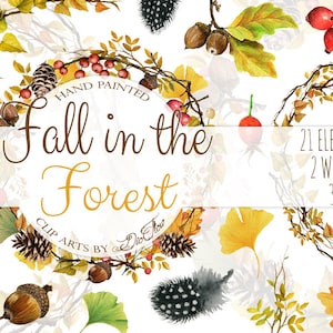 Watercolor Fall Autumn Clipart Leaves Berries Clip Art Rosehip Oak Feathers Pine cone Ginkgo Invitation Illustration Fall Wedding Leaf