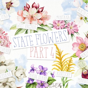 American Flowers Watercolor Clipart United States America Bundle Clip Art Symbols Illustration Emblematic USA Invitation Illustration Vector
