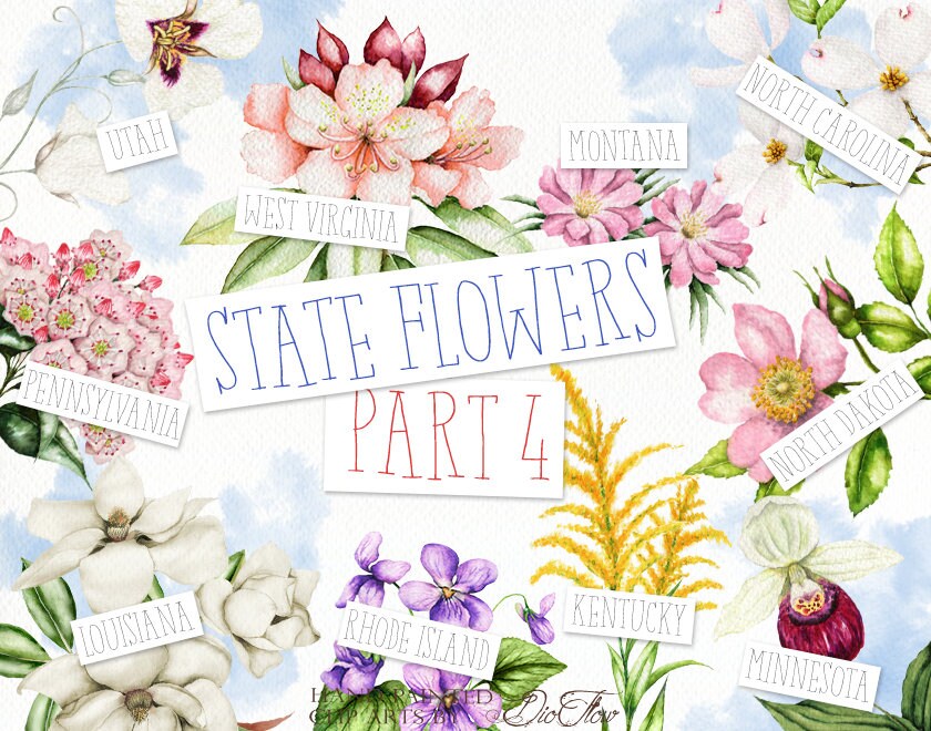 American Flowers Watercolor Clipart United States America Bundle Clip Art Symbols Illustration Emblematic USA Invitation Illustration Vector