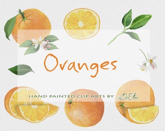 Orange Clipart Obst Clipart Früchte Aquarell ClipArt Citrus Clipart Einladung Hochzeit Illustration handbemalt Dekoration Kunst - "Orange"