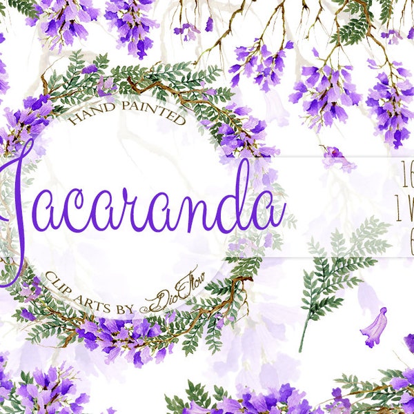 Jacaranda Watercolor Clipart Purple Flowers Clip Art Lilac Flower Floral Wedding Invitation Illustration Vector Decor Jacaranda Tree Petals