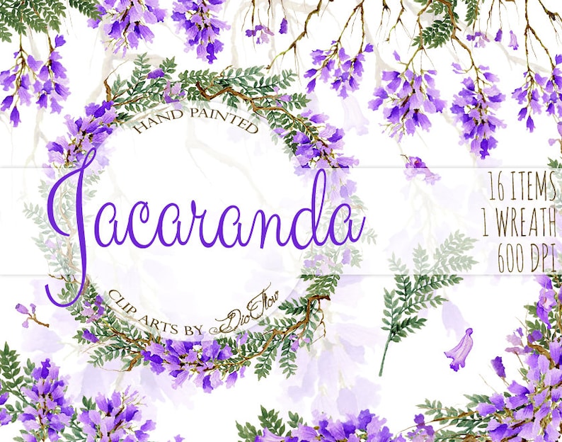 Jacaranda Aquarelle Clipart Purple Flowers Clip Art Lilac Flower Floral Wedding Invitation Illustration Vector Decor Jacaranda Tree Petals image 1