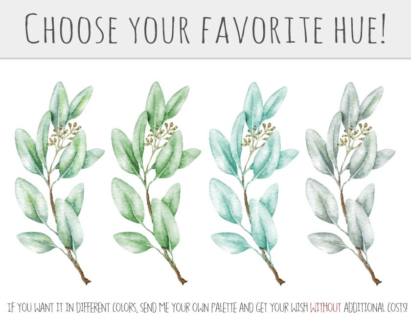 Eucalyptus Greenery Watercolor Clipart Seeded Eucalyptus Clip Art Aqua ...