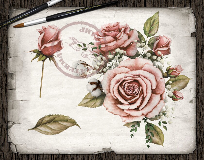Watercolor Roses Cotton Clipart Vintage Rose Pink Blush Clip Art Rose ...