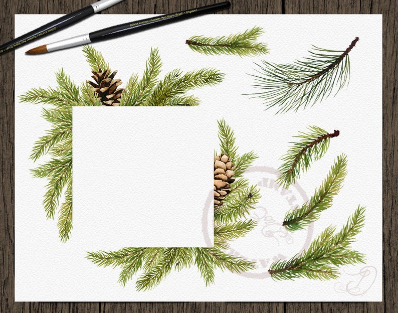 Watercolor Pine Clipart Winter Clip Art Christmas Branches Winter Pines Wedding Invitation Greenery White Xmas Leaves Evergreen Pine Cones image 2