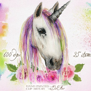 Aquarell Einhorn Clip Art Regenbogen Pferd Rosen Clipart Aquarell Rose realistische Einhorn Illustration Dekor Dekoration Kunst Regenbogen