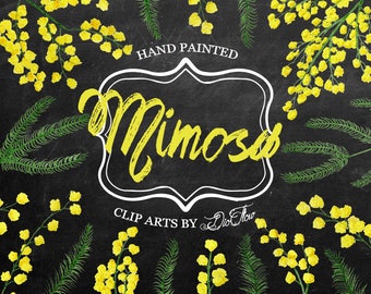 Mimosa Clipart Acacia Clip Art Watercolor Wattle Yellow Fluffy Mimosas Touch Me Not Flower Handpainted Rustic Flowers Cottage - "Mimosa"