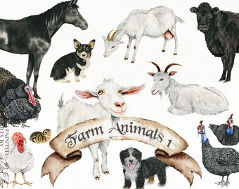 Watercolor Farm Animals Clipart Farmhouse Clip Art Barn Country Animals Rustic Ranch Watercolor Clip Illustration Country Design Farmhouse