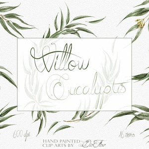 Eucalyptus aquarelle verdure Clipart saule ensemencé d'eucalyptus Clip Art faire-part de mariage Illustration saule eucalyptus Design Art déco
