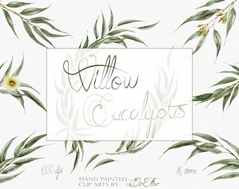 Aquarell Eukalyptus grün Clipart Willow ausgesät Eukalyptus ClipArt Hochzeit Einladung Illustration Willow Eukalyptus Design Kunst Dekor