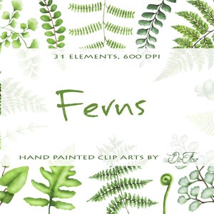 Watercolor Fern Clipart Greenery Clip Art Leaf Leaves Woodland Clipart Vector Green Forest Wood Illustration Wedding Invitation Foliage Fern