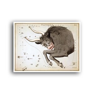 Stier sterrenbeeld horoscoop poster kaart kunst sterrenbeelden astrologie dierenriem print (AS8)a