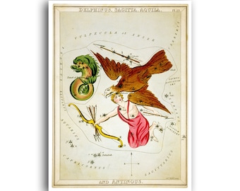 Impresión del horóscopo del arte del zodíaco de Sidney Hall Póster de Delfín, Sagitario, Aquila y Antinoo con el espejo de Urania (AS20)a