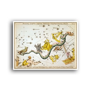 Poster Hydra Sidney Hall Constellation Map Star Chart Horoskop Astrologie Print (AS27)a