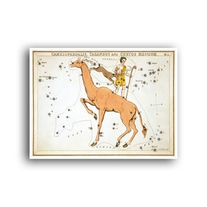 Sternenkarte Karte Kunst Horoskop Vintage Zodiac Print Sternzeichen Poster Konstellationen Astrologie Dekor (AS17)a