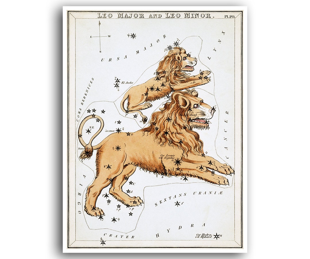 Leo Constellation Map Star Chart Art Horoscope Vintage Zodiac Print