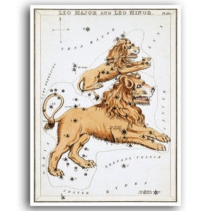Leo Zodiac Sign Sidney Hall Art Star Constellation Poster Astrology Decor (AS23)a